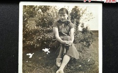 亚洲精品国产高清不卡在线